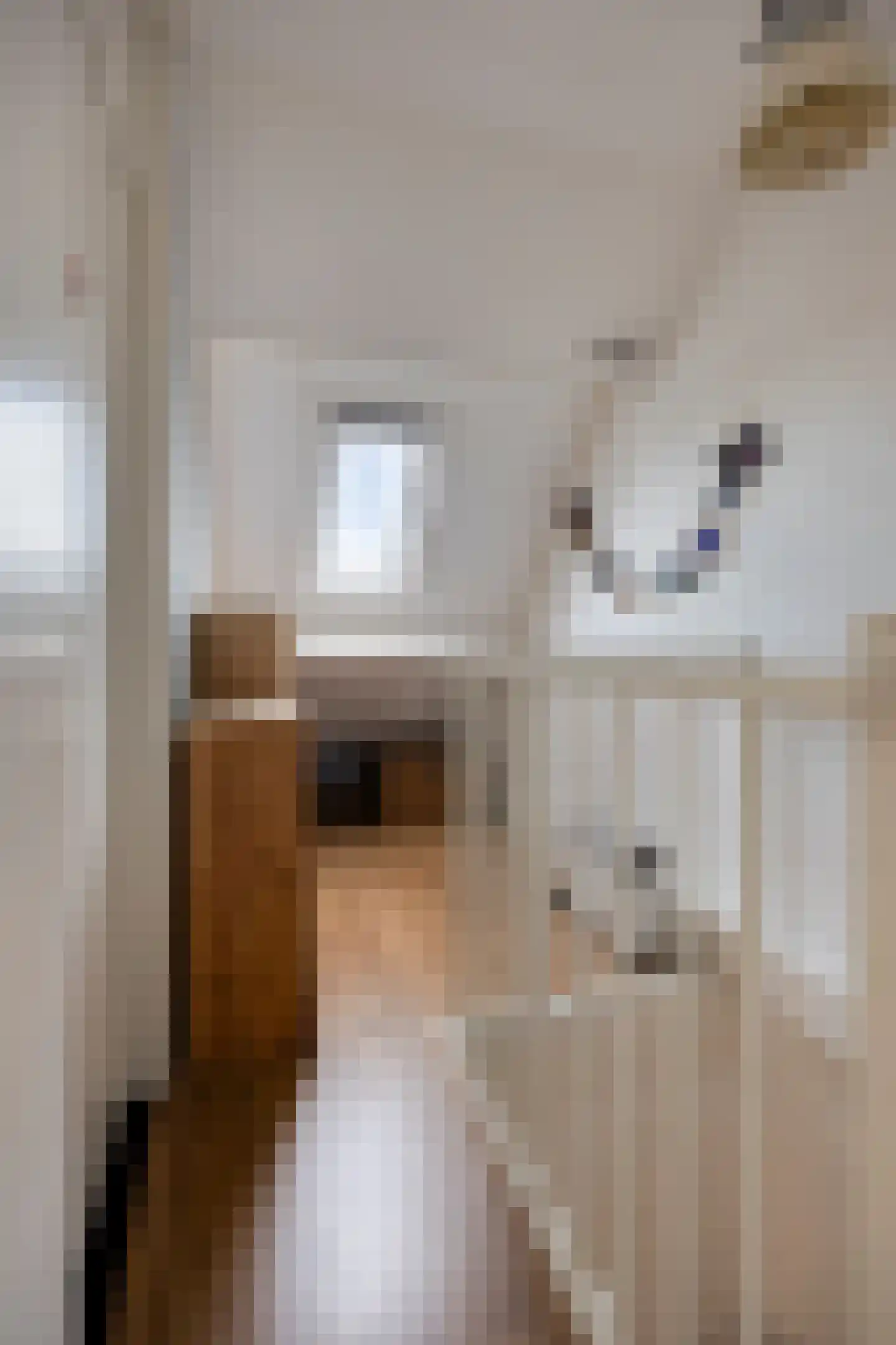 Hoofdstraat 107 Oldemarkt thumbnail 31