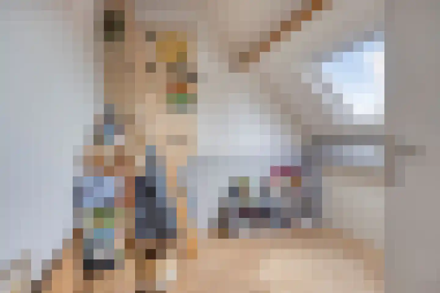 Hoofdstraat 107 Oldemarkt thumbnail 33