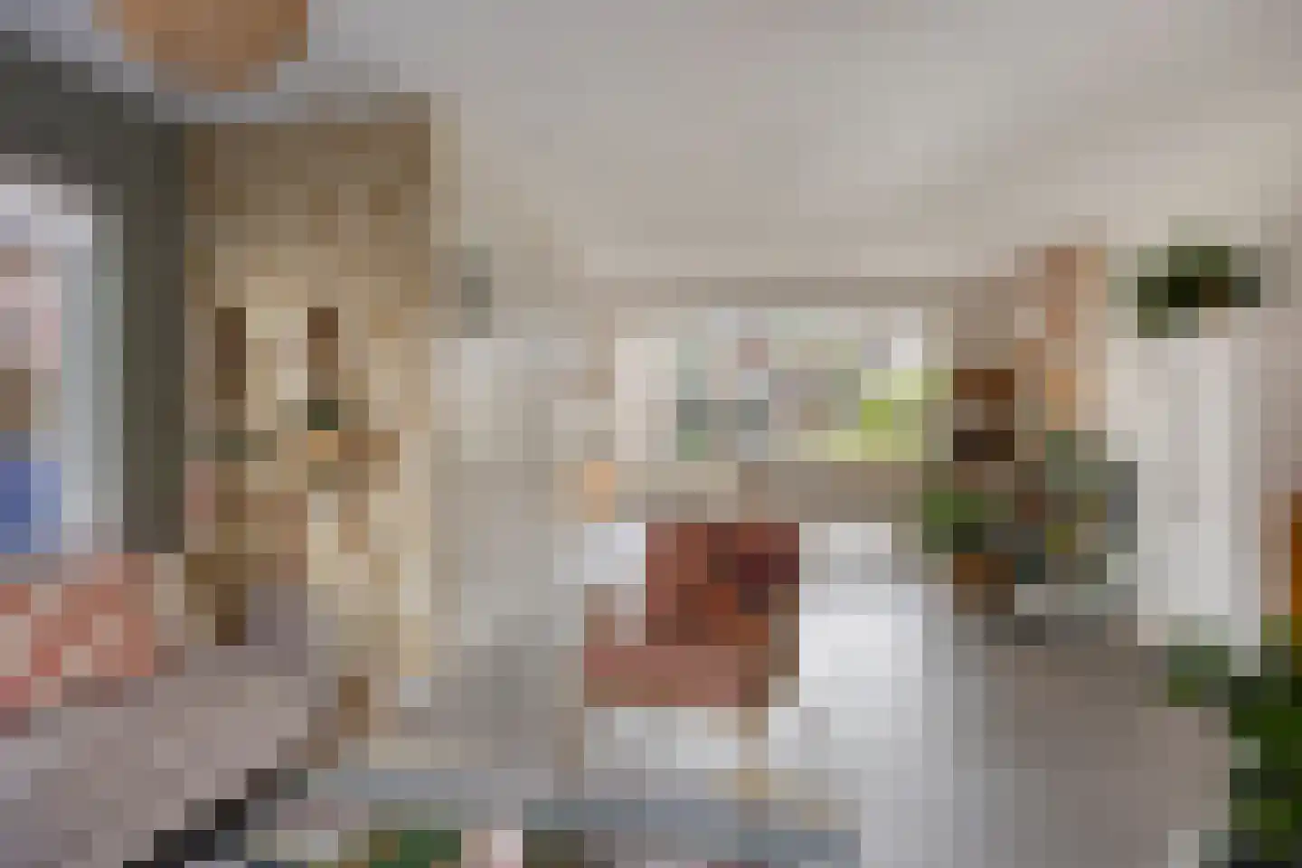 Hoofdstraat 107 Oldemarkt thumbnail 4