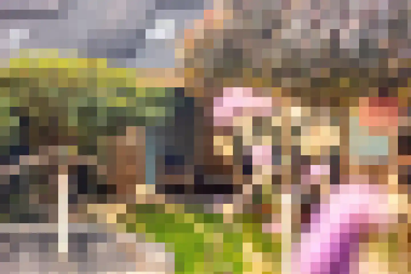 Hoofdstraat 107 Oldemarkt thumbnail 42