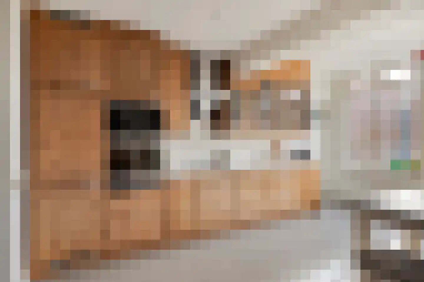 Hoofdstraat 107 Oldemarkt thumbnail 8