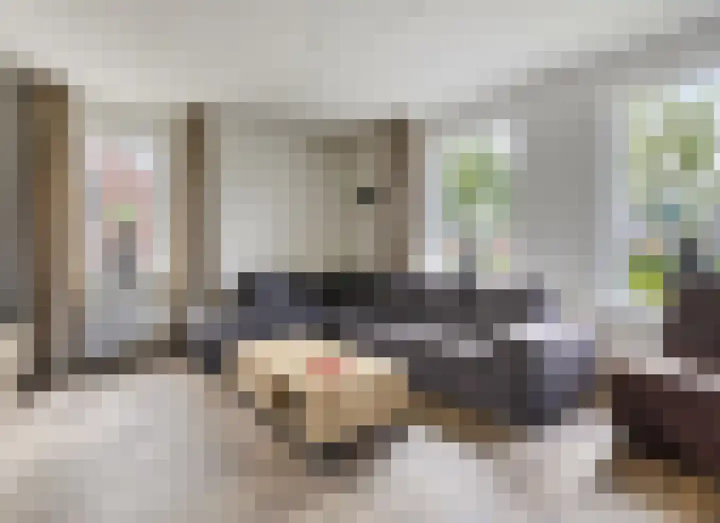 Hoofdstraat 11 a Niezijl thumbnail 10