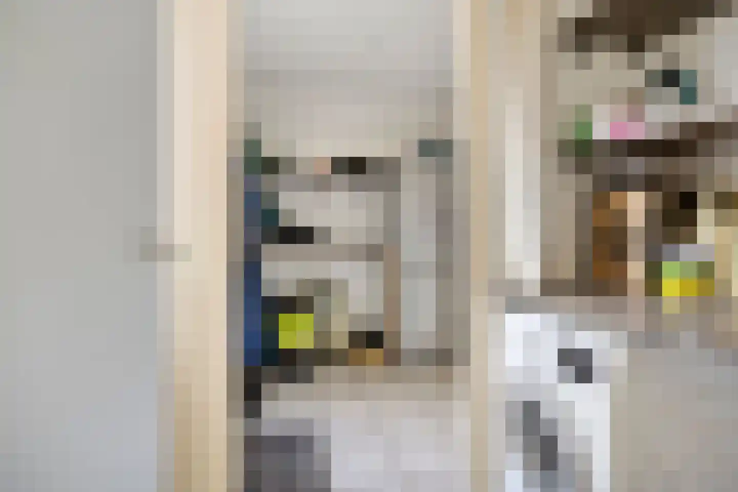 Hoofdstraat 11 a Niezijl thumbnail 16