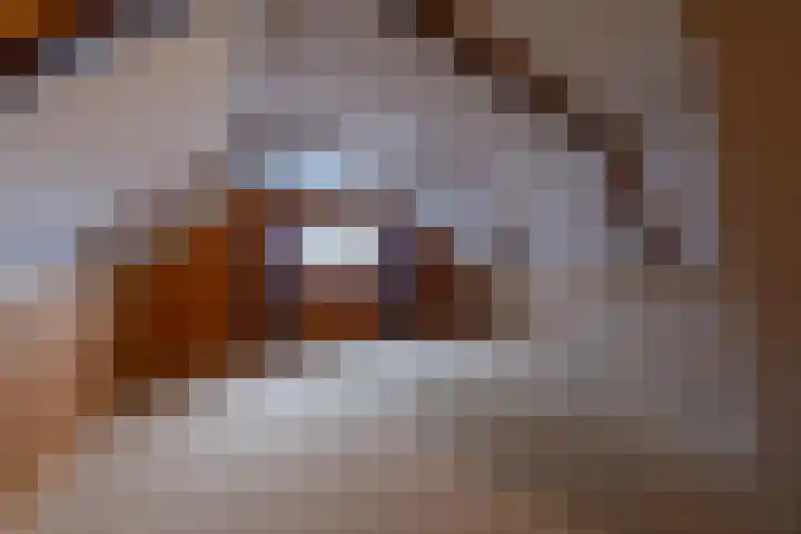 Hoofdstraat 11 Peize thumbnail 21