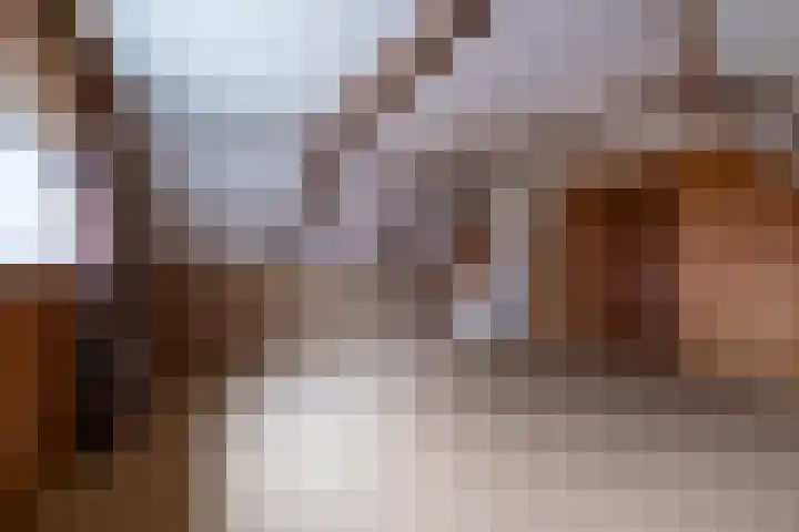 Hoofdstraat 11 Peize thumbnail 22