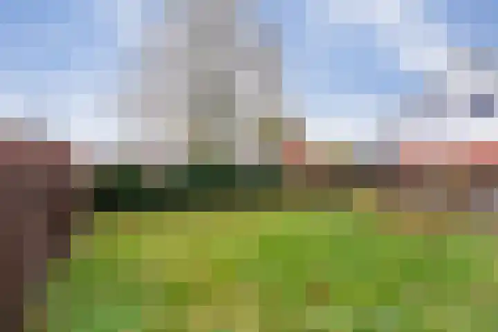 Hoofdstraat 11 Peize thumbnail 27