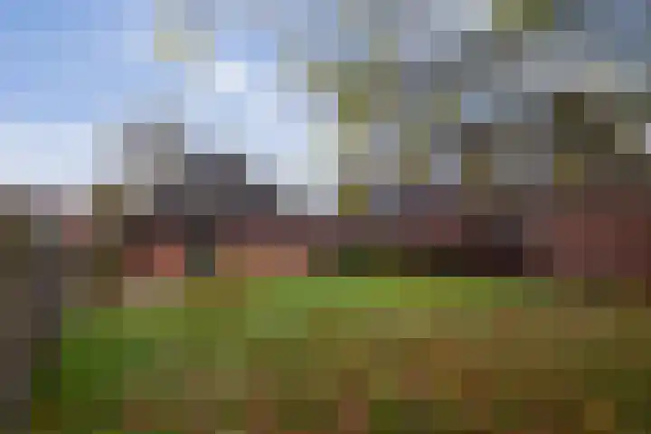 Hoofdstraat 11 Peize thumbnail 28
