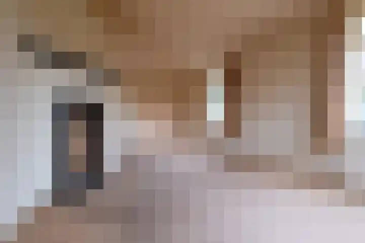 Hoofdstraat 11 Peize thumbnail 5