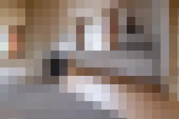 Hoofdstraat 11 Peize thumbnail 7