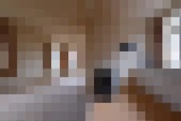 Hoofdstraat 11 Peize thumbnail 9