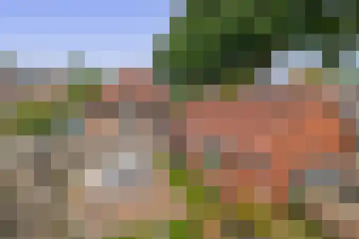 Hoofdstraat 110 Beerta thumbnail 31