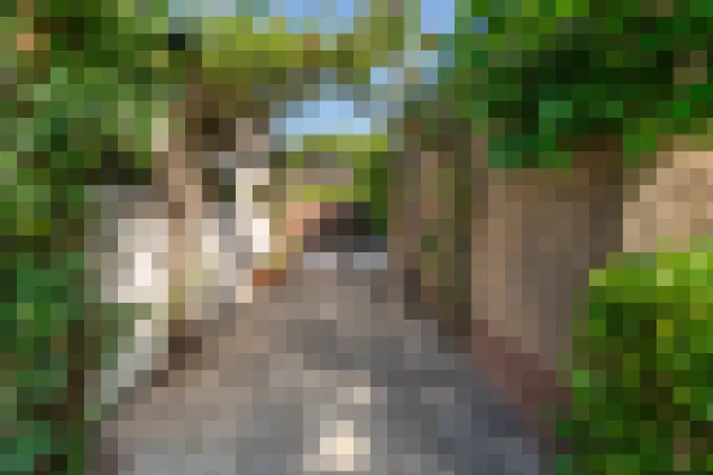 Hoofdstraat 110 Valkenburg thumbnail 31