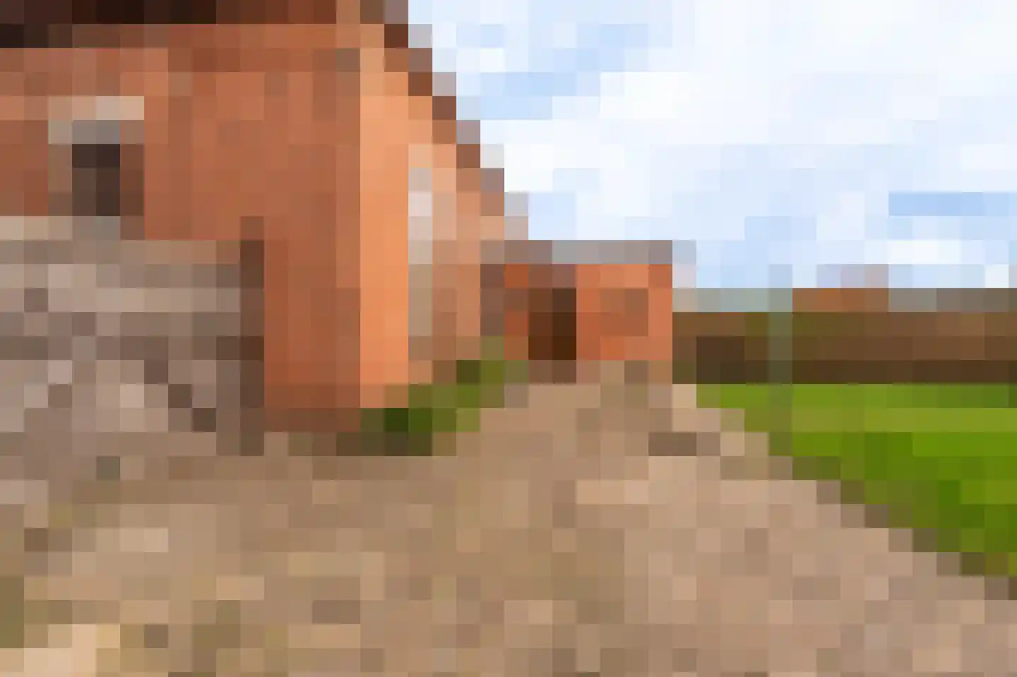 Hoofdstraat 112 Hoogezand thumbnail 36