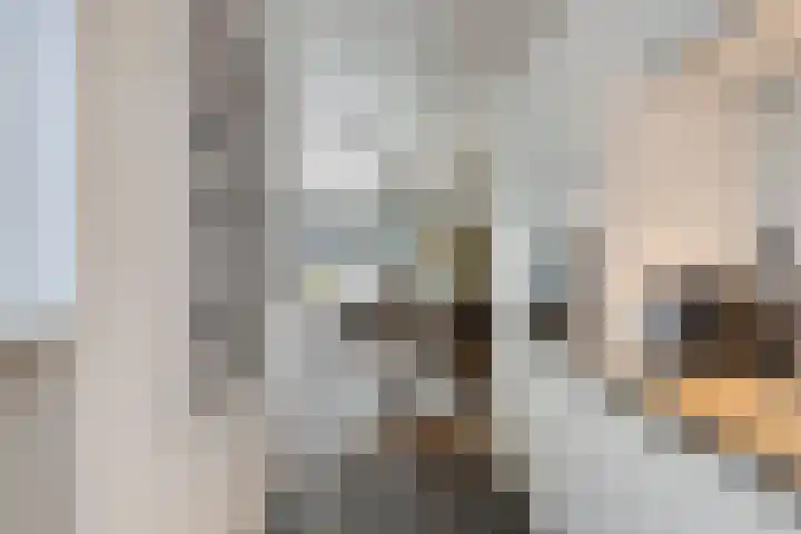 Hoofdstraat 112 Krimpen aan de Lek thumbnail 11