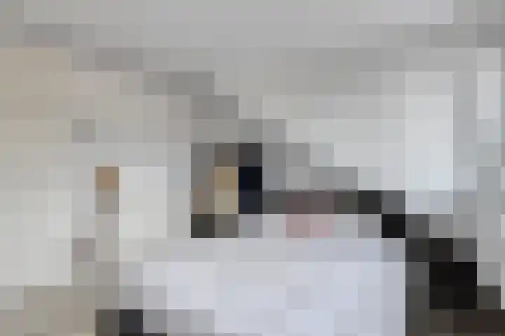 Hoofdstraat 112 Krimpen aan de Lek thumbnail 19