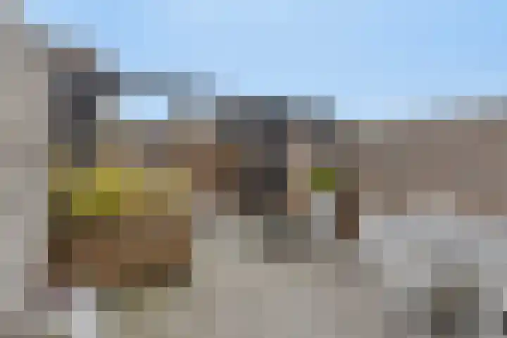 Hoofdstraat 112 Krimpen aan de Lek thumbnail 5