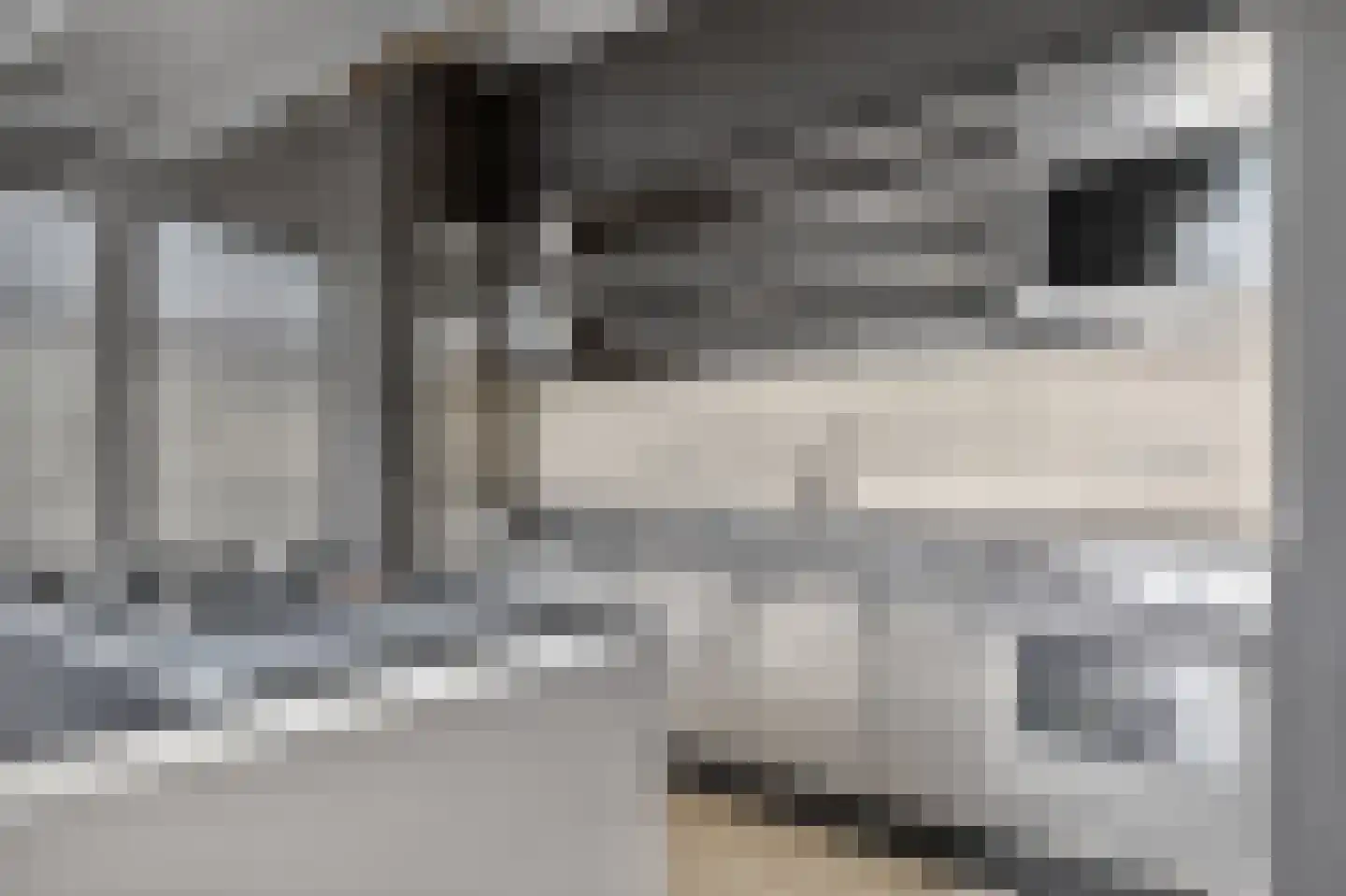 Hoofdstraat 113 A Epe thumbnail 16