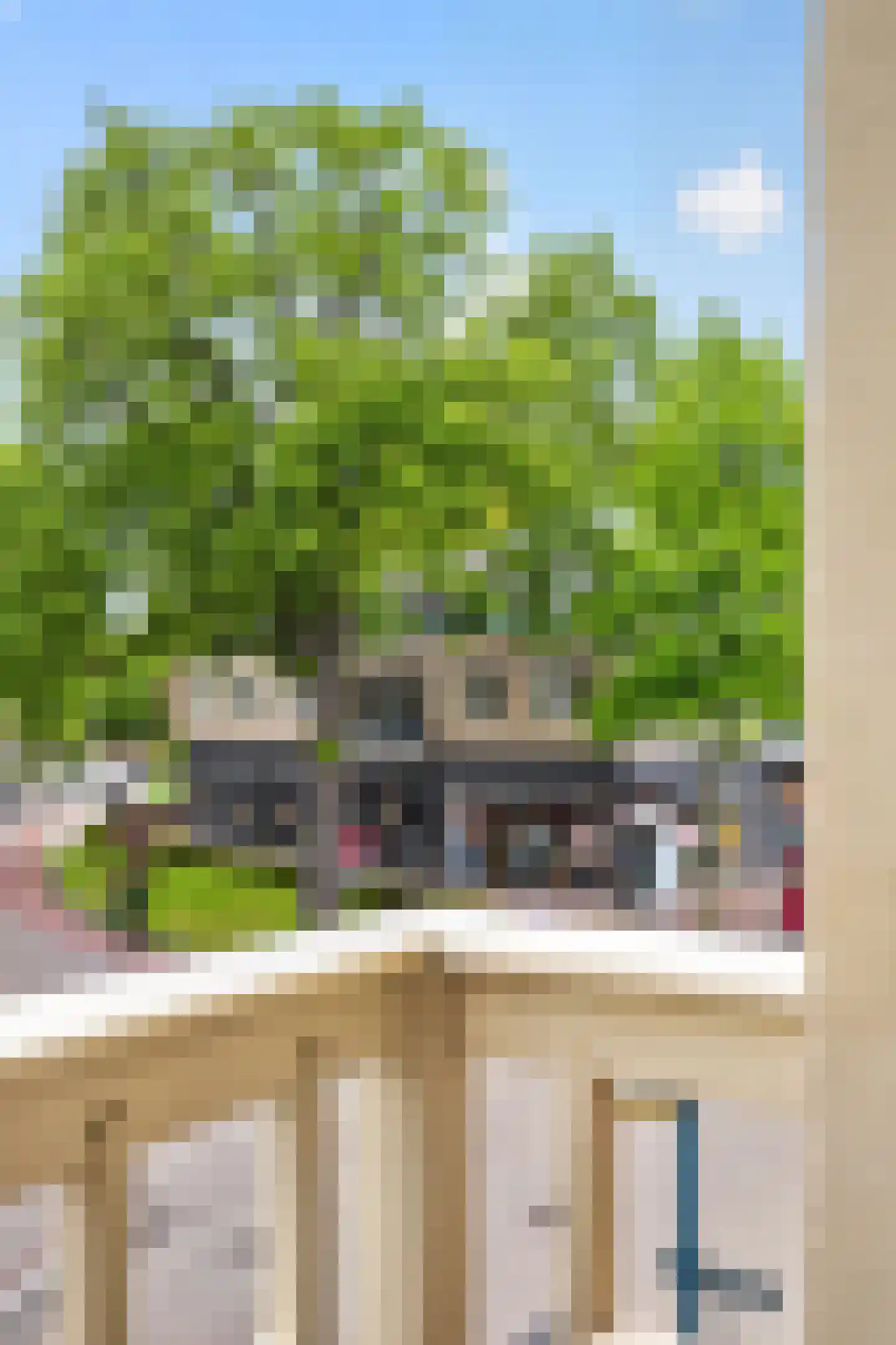 Hoofdstraat 113 A Epe thumbnail 20