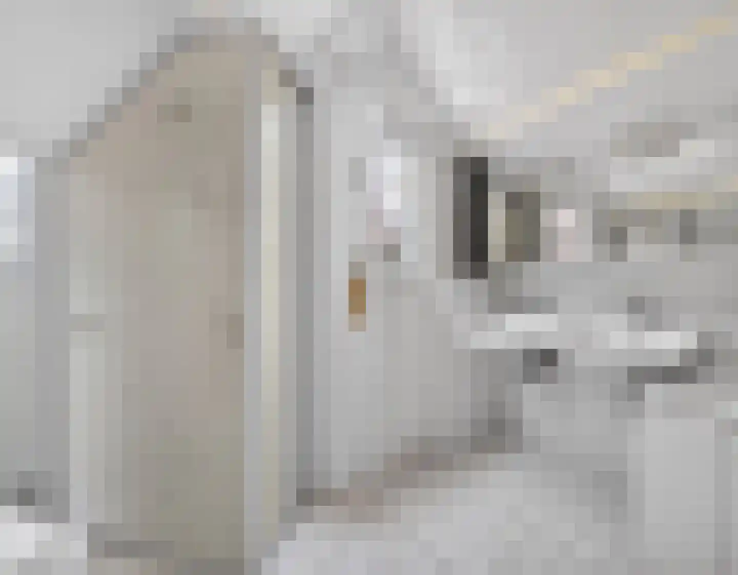 Hoofdstraat 113 A Epe thumbnail 26