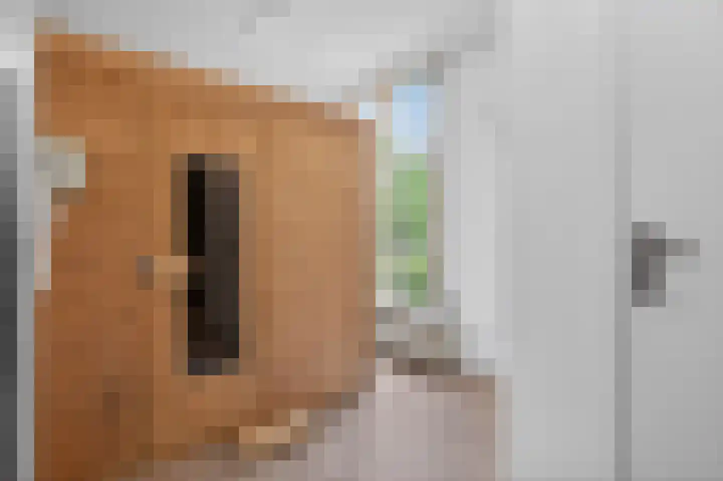 Hoofdstraat 113 A Epe thumbnail 29