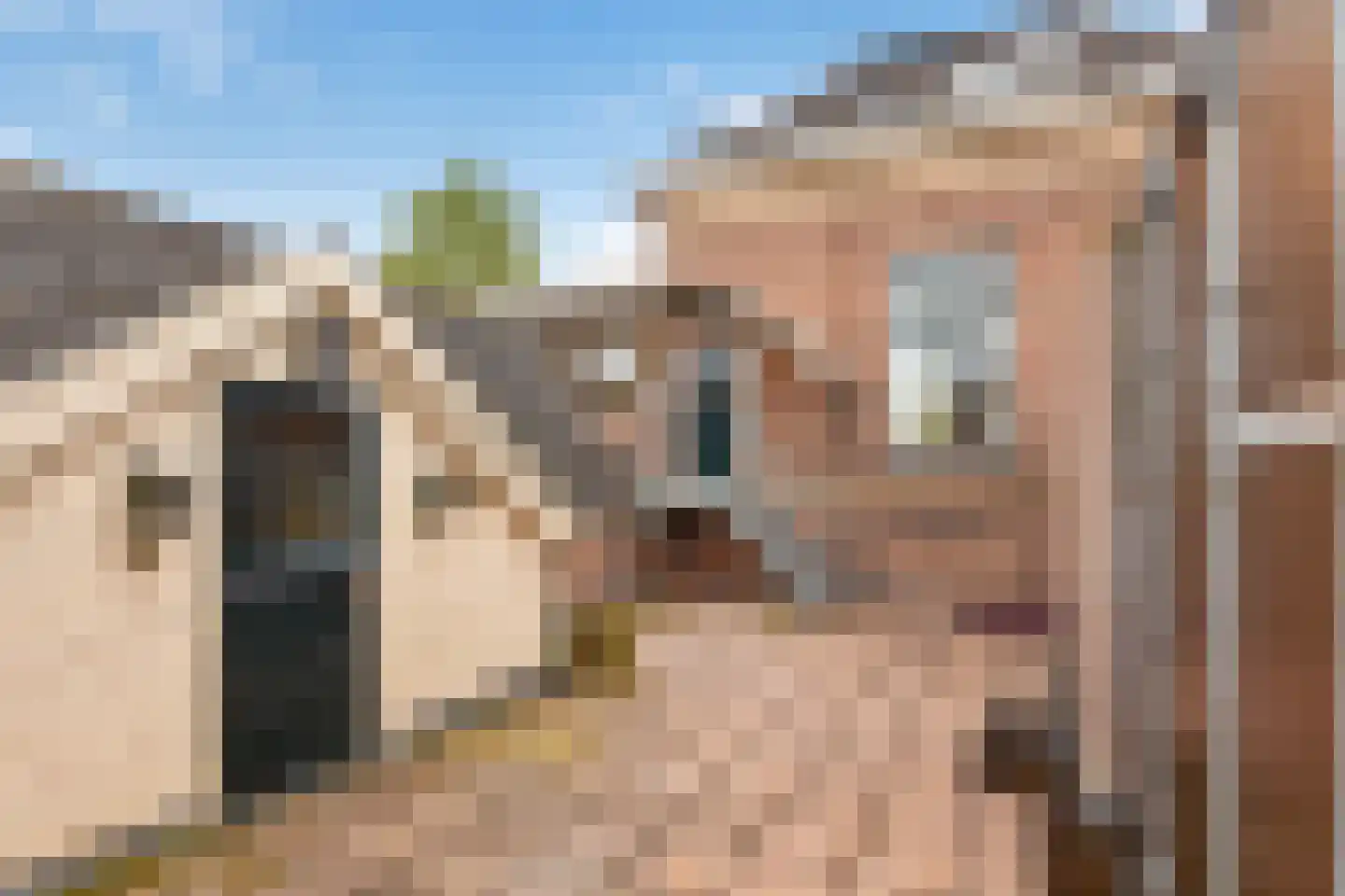 Hoofdstraat 113 A Epe thumbnail 38