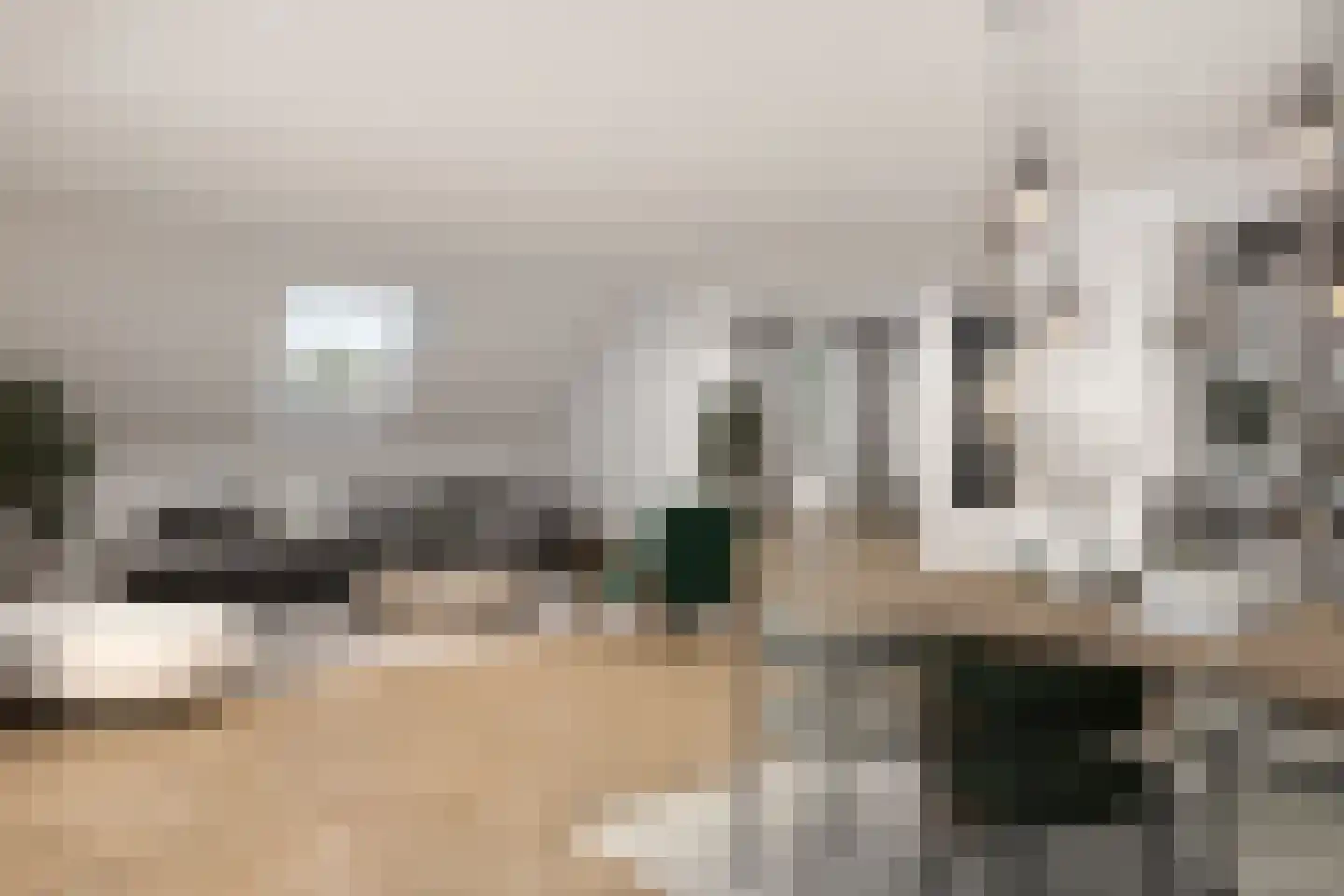 Hoofdstraat 113 A Epe thumbnail 9