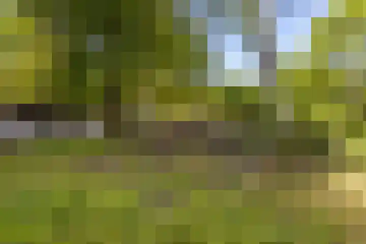 Hoofdstraat 113 Gasselternijveen thumbnail 22