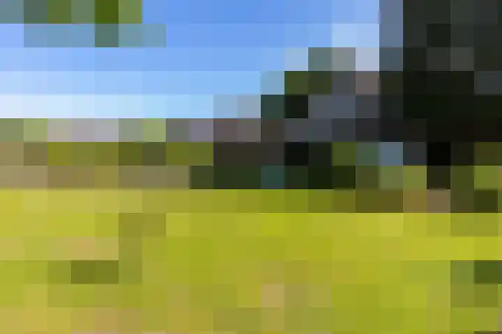 Hoofdstraat 113 Gasselternijveen thumbnail 25