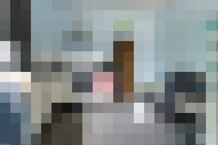 Hoofdstraat 113 Gasselternijveen thumbnail 7