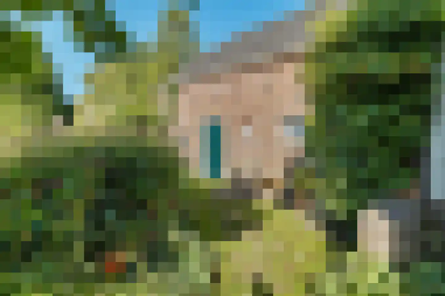 Hoofdstraat 113 Nieuwolda thumbnail 35