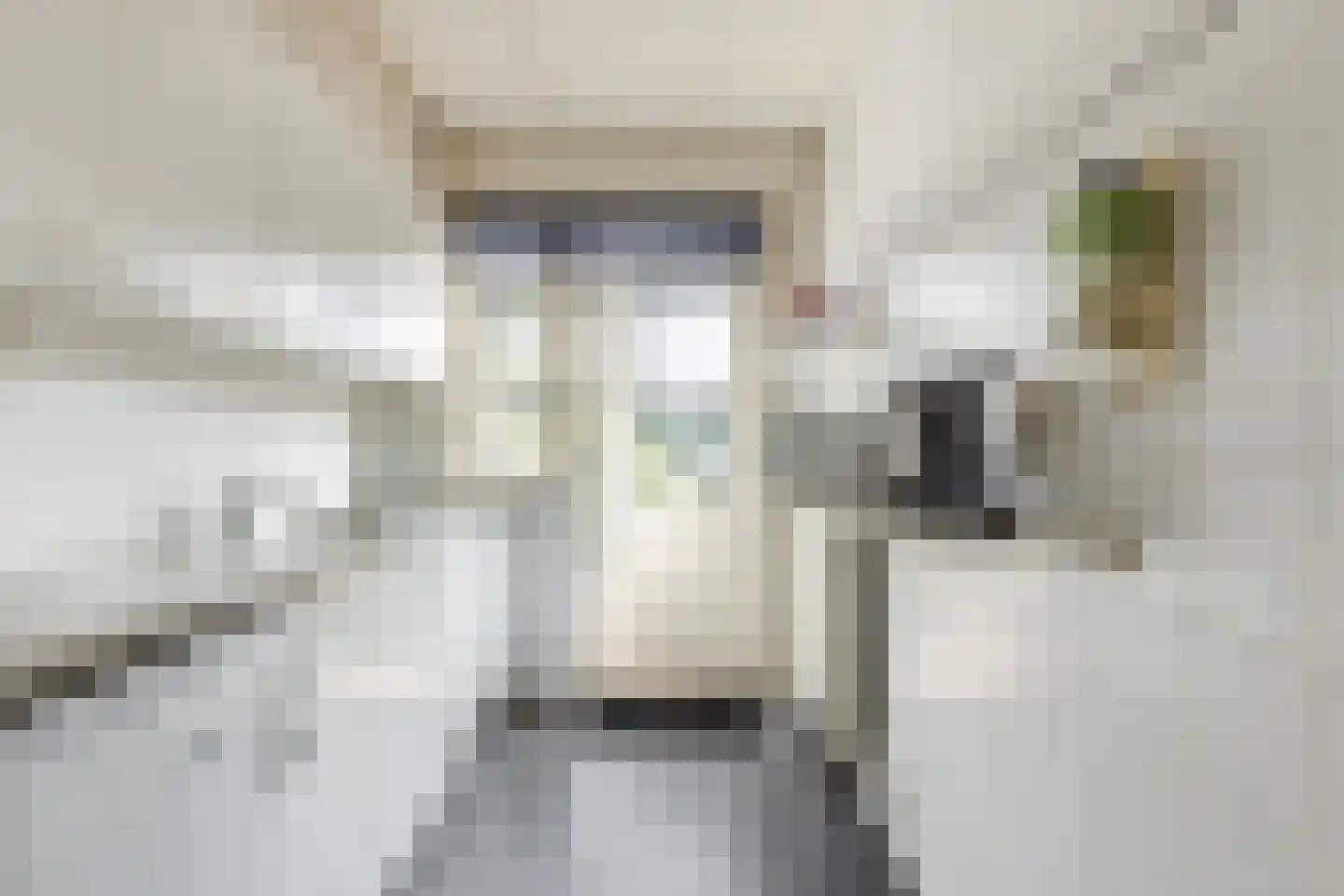 Hoofdstraat 113 Santpoort-Noord thumbnail 13