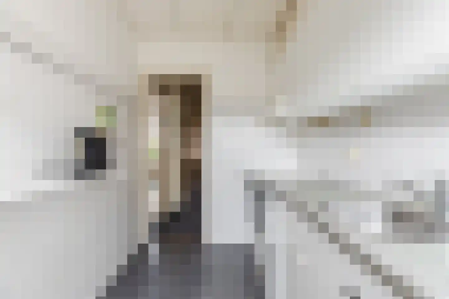 Hoofdstraat 113 Santpoort-Noord thumbnail 15