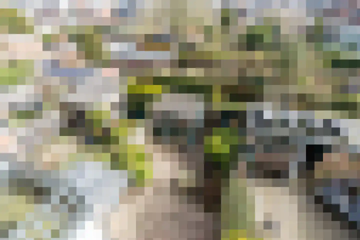 Hoofdstraat 113 Santpoort-Noord thumbnail 44