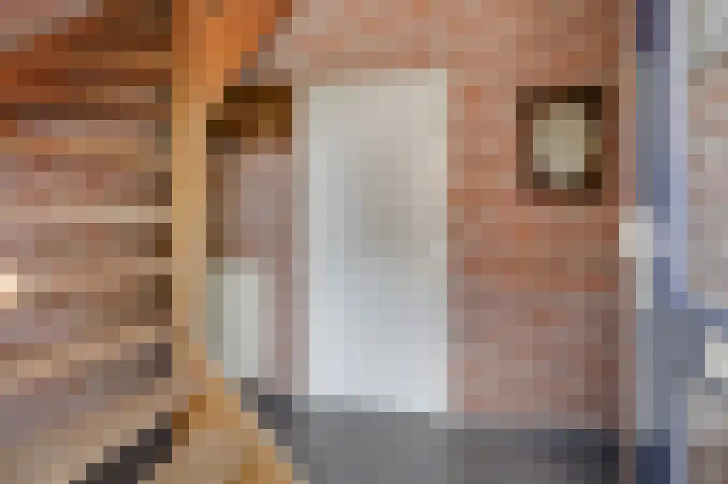 Hoofdstraat 114 A Gaanderen thumbnail 30