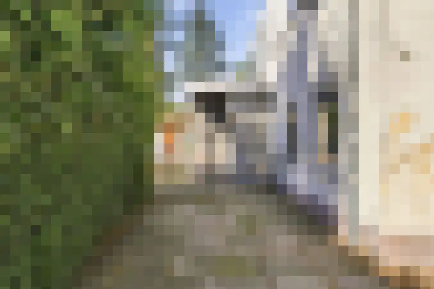 Hoofdstraat 116 Driebergen-Rijsenburg thumbnail 40