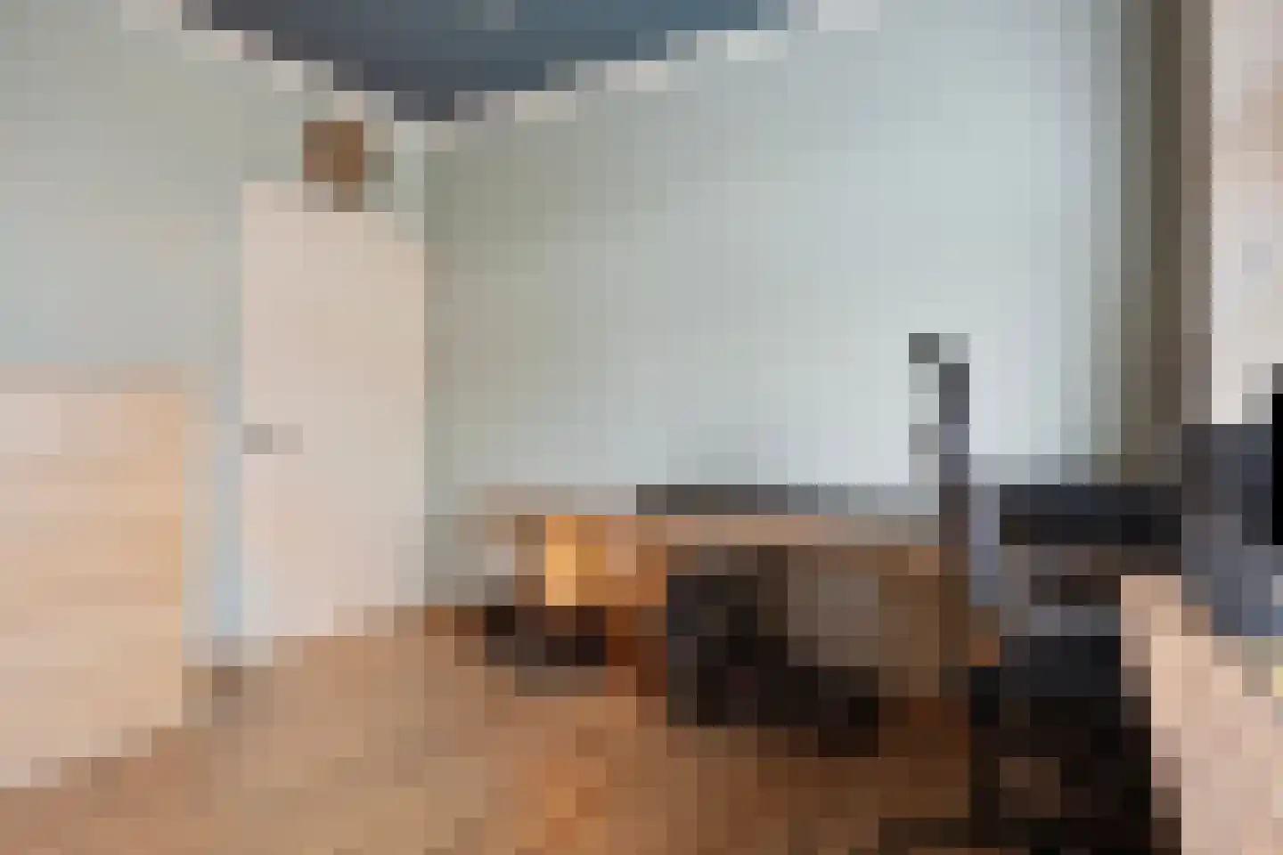 Hoofdstraat 117 Bergambacht thumbnail 12