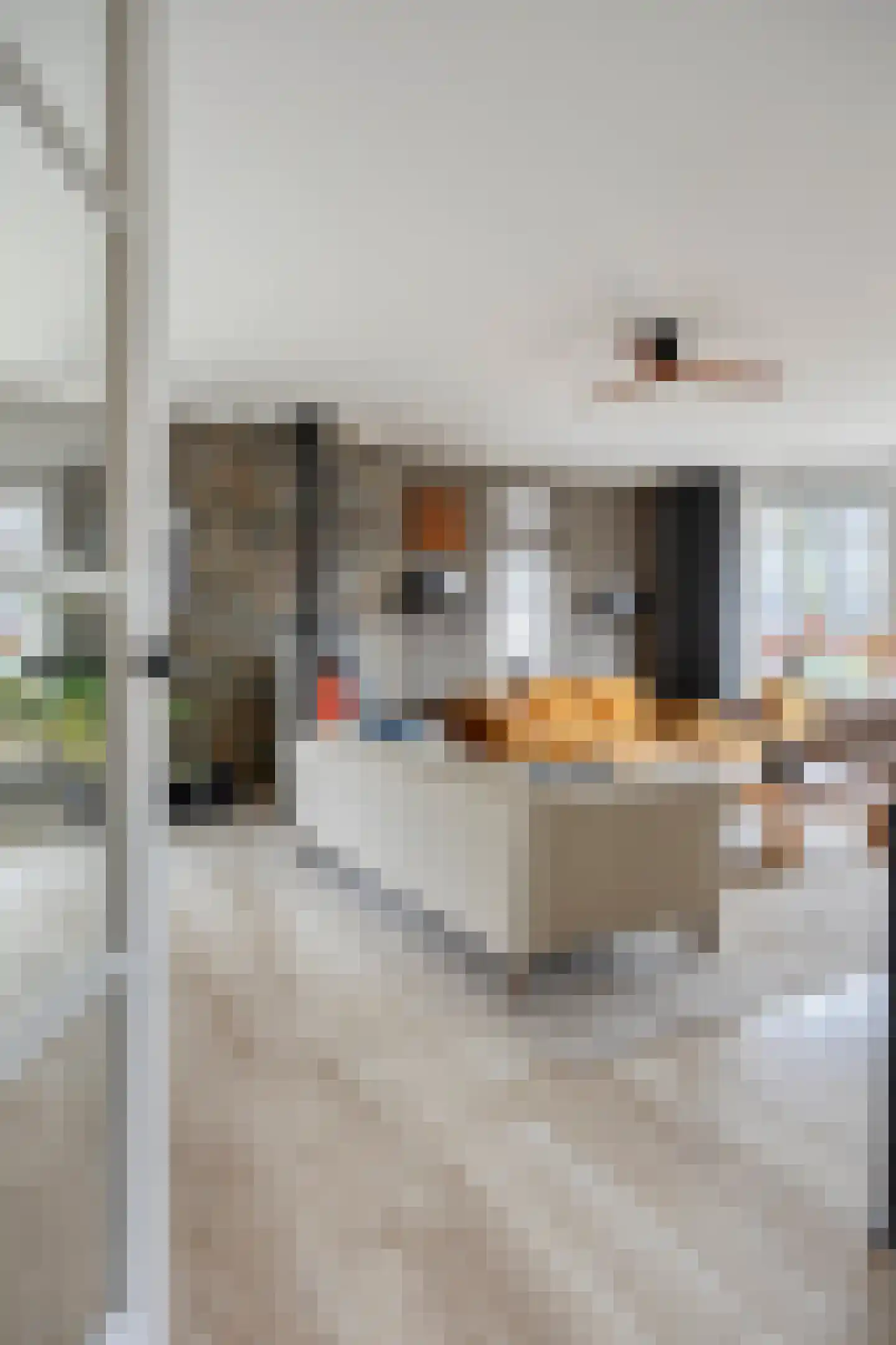 Hoofdstraat 117 Bergambacht thumbnail 13