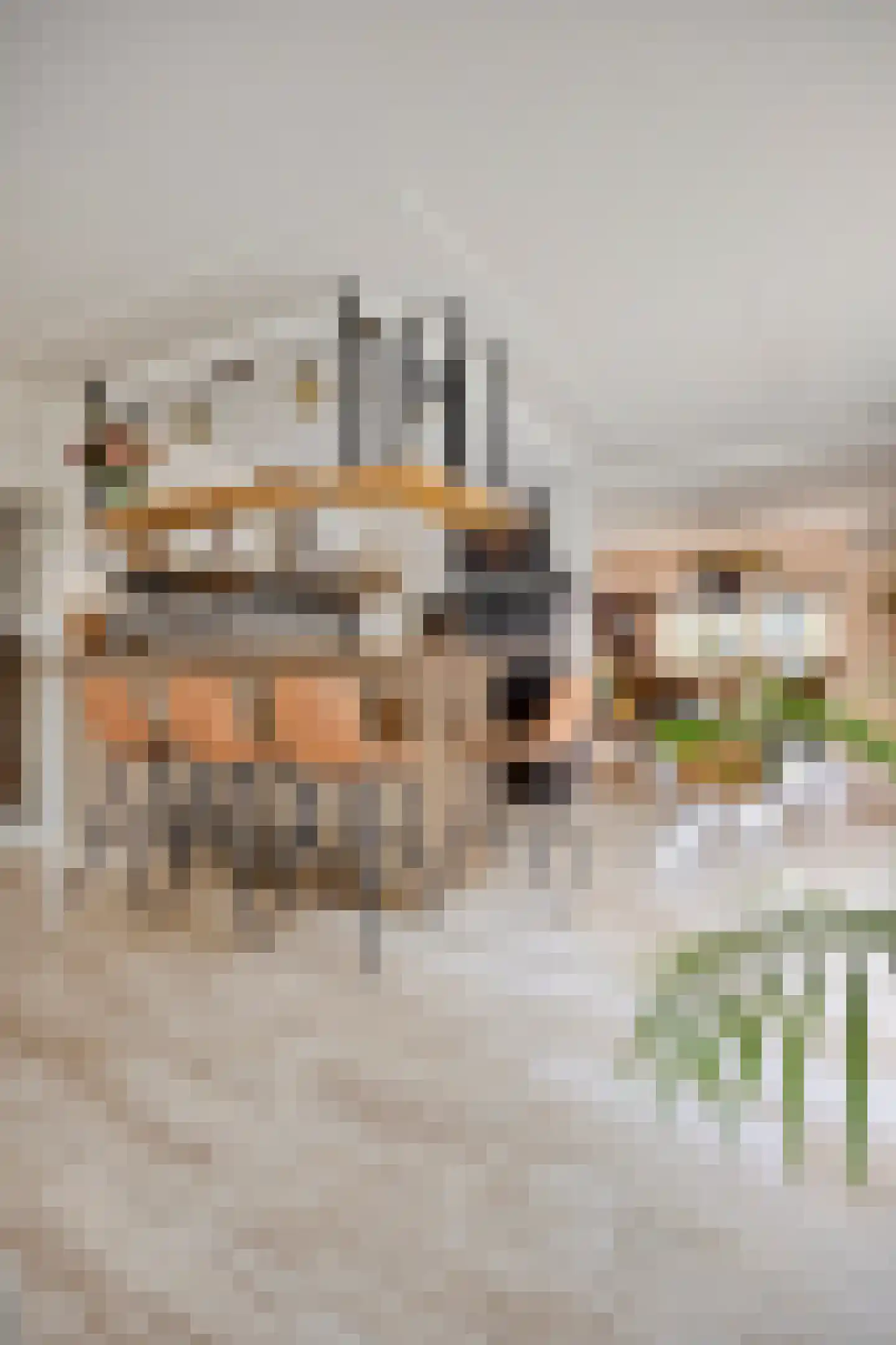 Hoofdstraat 117 Bergambacht thumbnail 20