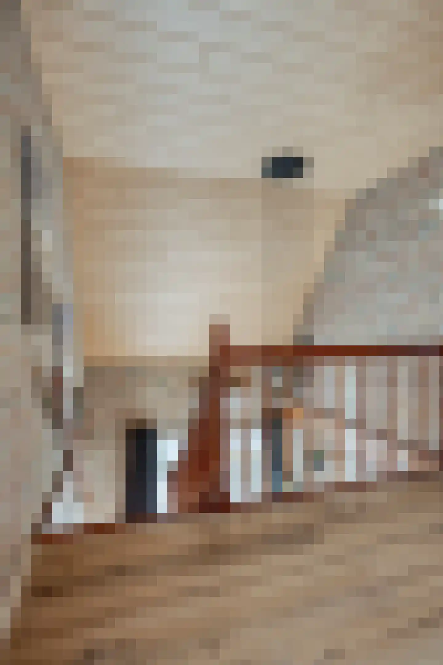 Hoofdstraat 117 Bergambacht thumbnail 30