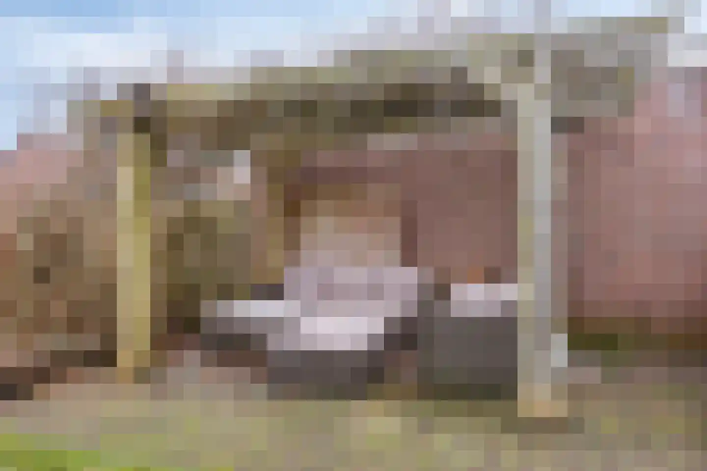 Hoofdstraat 117 Bergambacht thumbnail 46