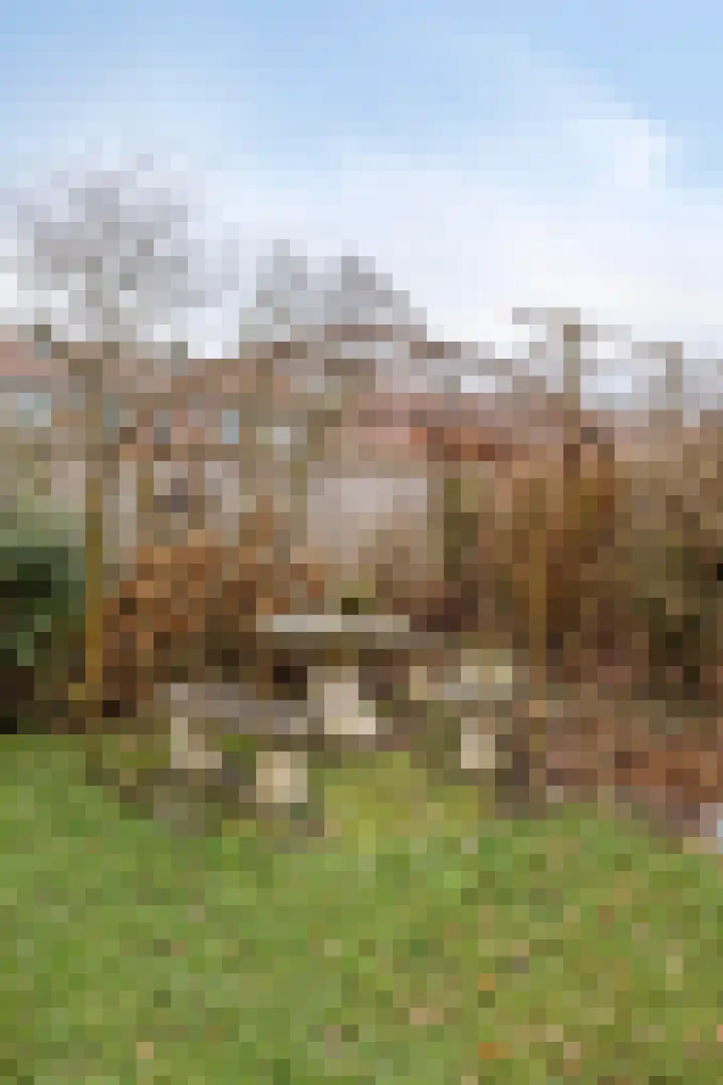 Hoofdstraat 117 Bergambacht thumbnail 48