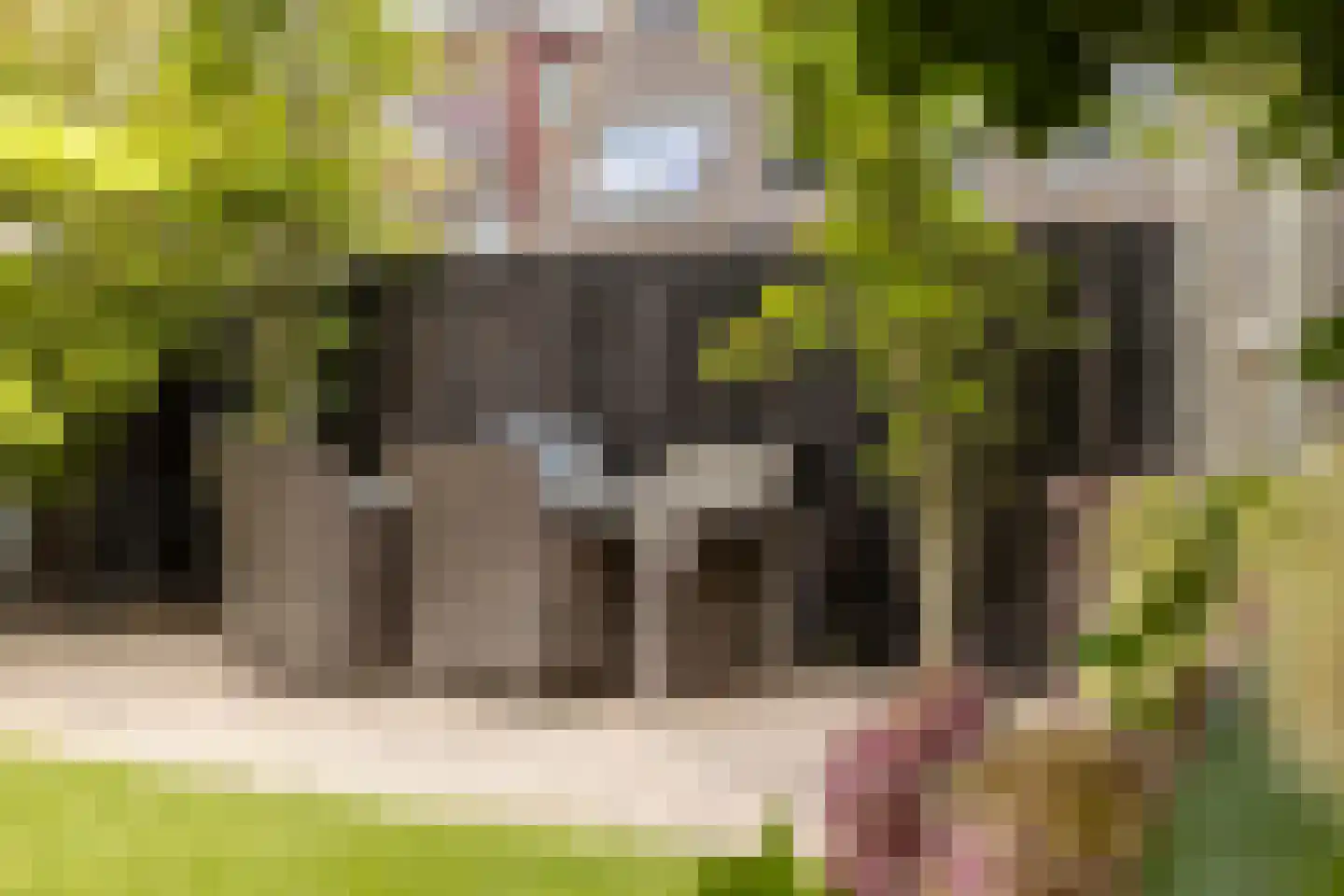 Hoofdstraat 117 Bergambacht thumbnail 50