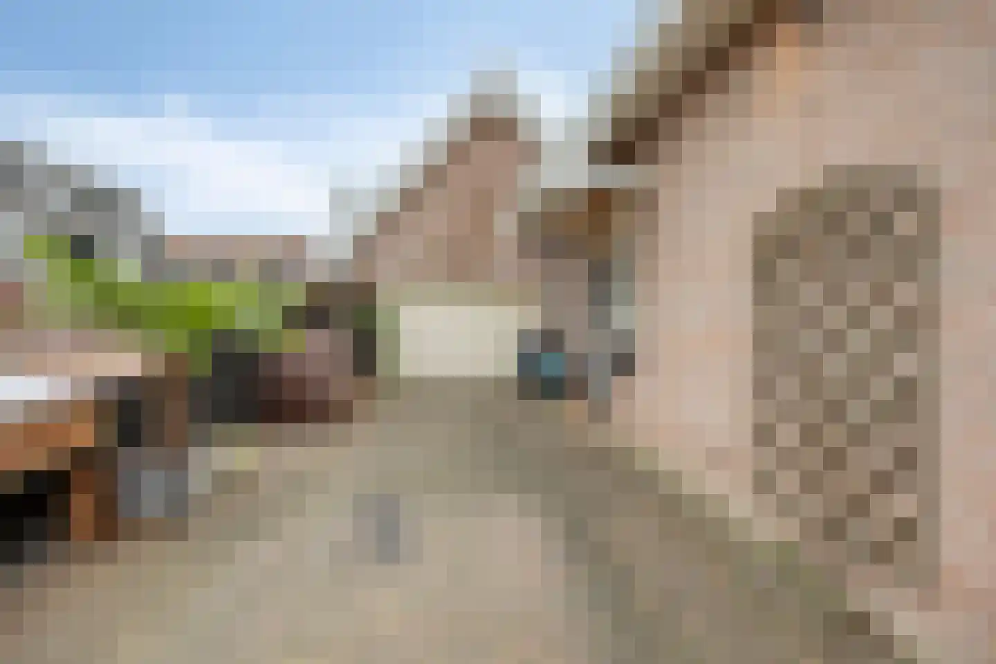 Hoofdstraat 117 Bergambacht thumbnail 51