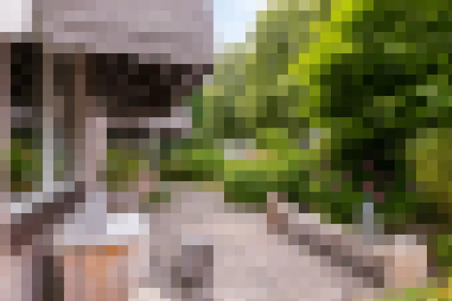 Hoofdstraat 117 Bergambacht thumbnail 51