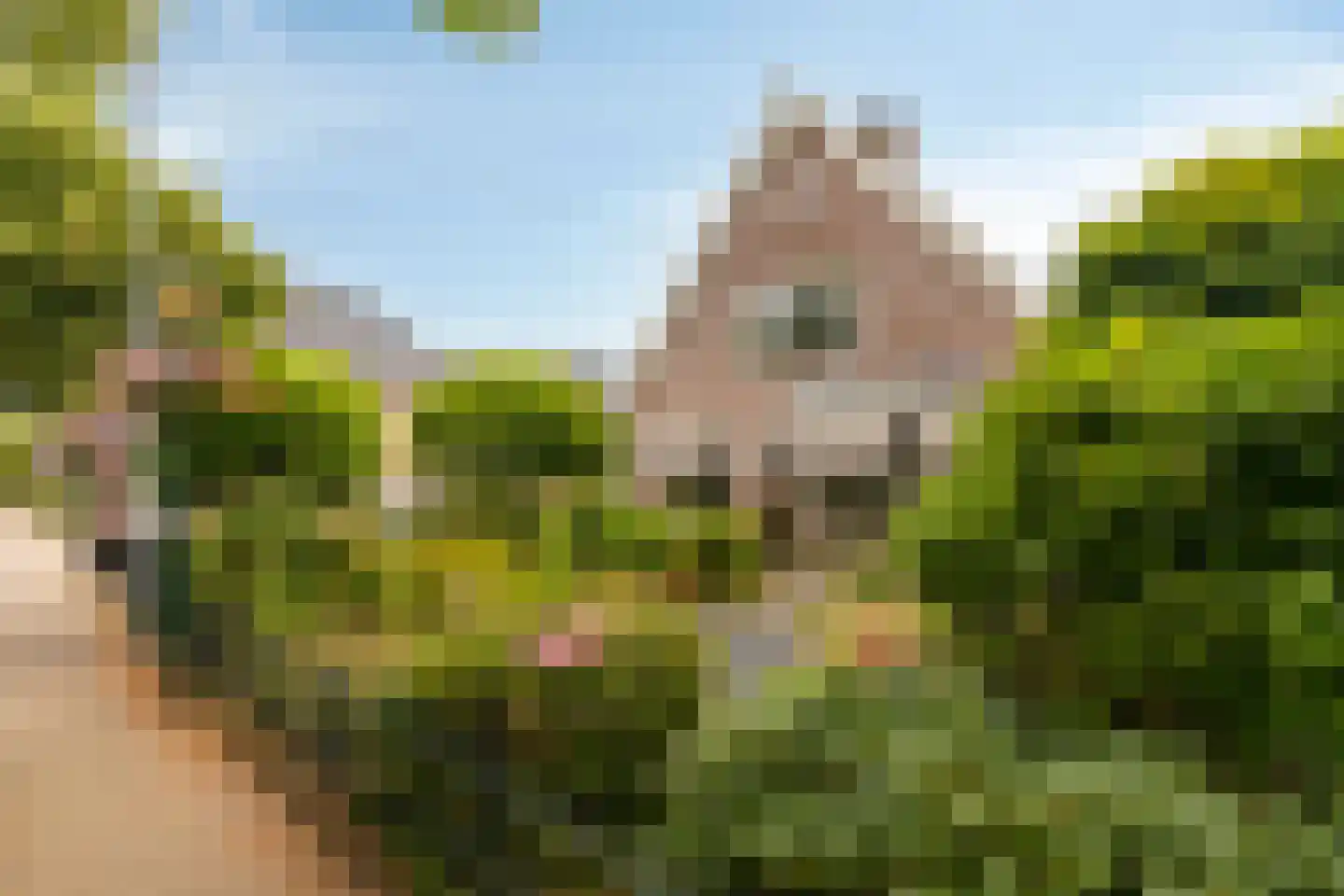 Hoofdstraat 117 Bergambacht thumbnail 59