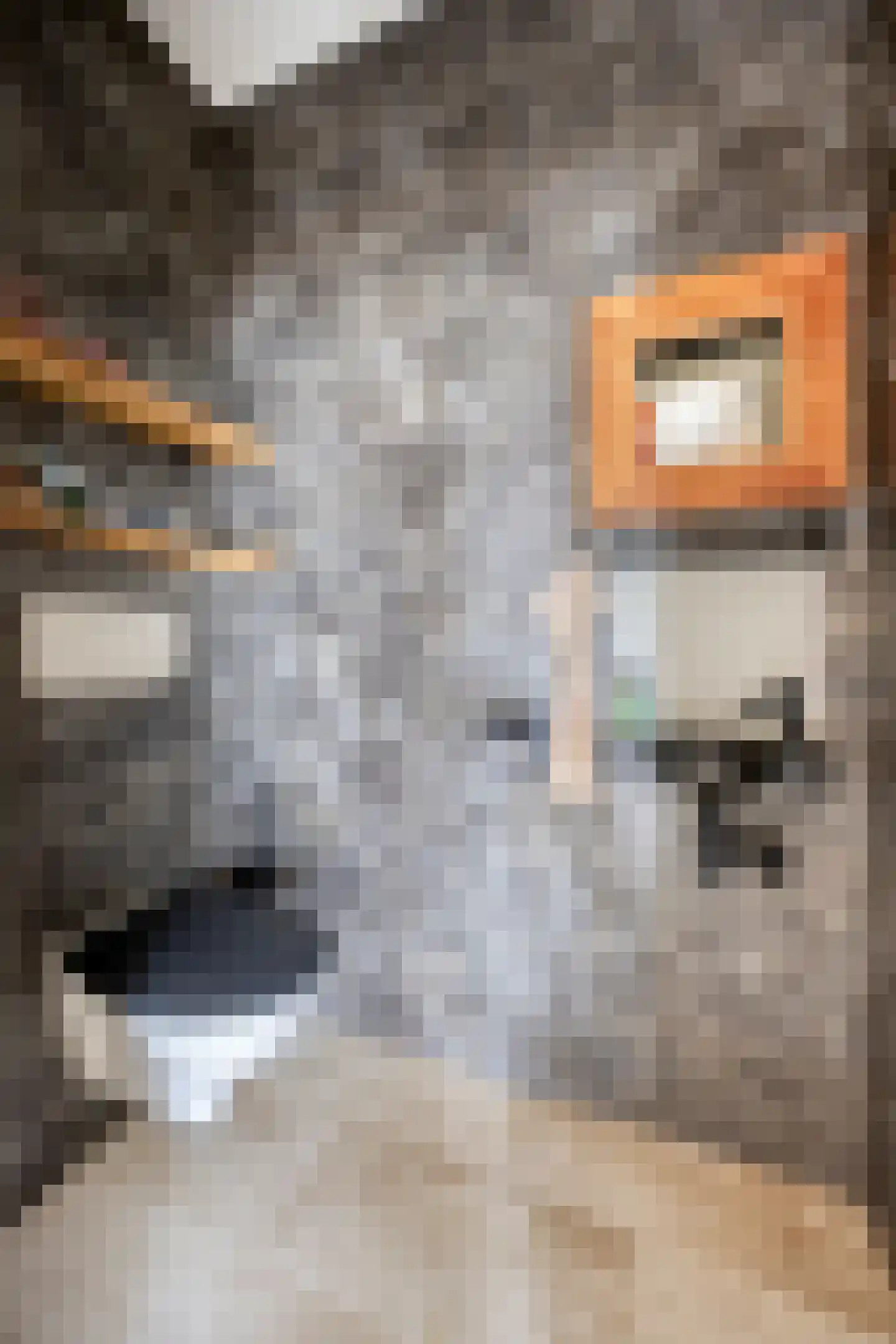 Hoofdstraat 117 Bergambacht thumbnail 9