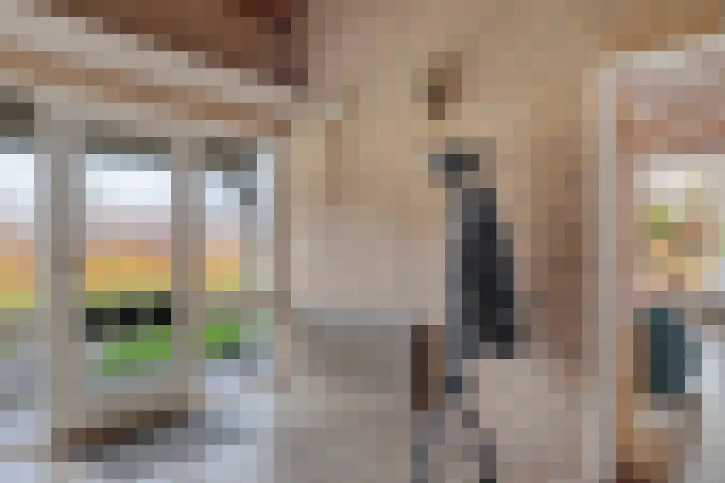 Hoofdstraat 118 Dalerveen thumbnail 9