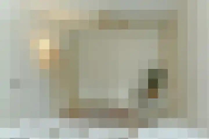 Hoofdstraat 118 De Steeg thumbnail 21
