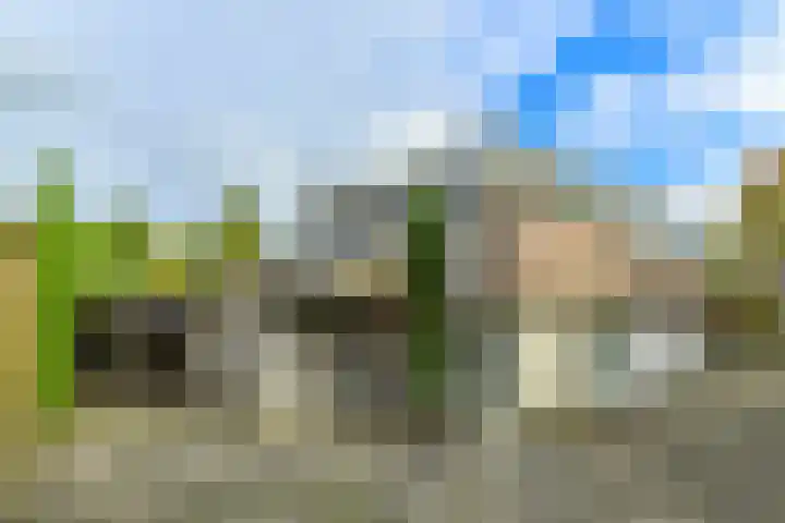 Hoofdstraat 118 De Steeg thumbnail 5