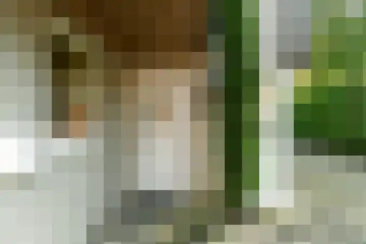 Hoofdstraat 118 De Steeg thumbnail 7